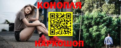 шишки Апшеронск