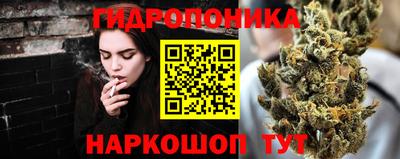 шишки Апшеронск