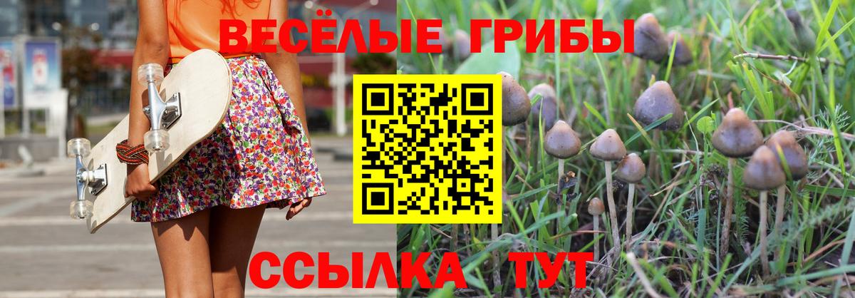 Галлюциногенные грибы Psilocybe Благодарный