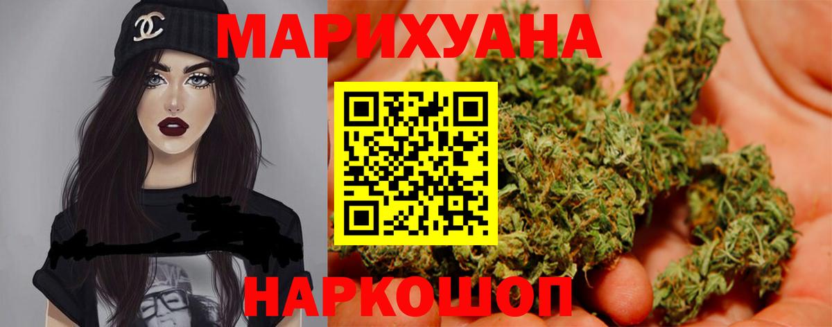 Каннабис планчик Благодарный